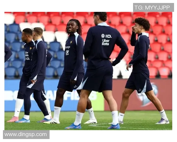 法国足球明星现状分析与未来发展趋势探讨